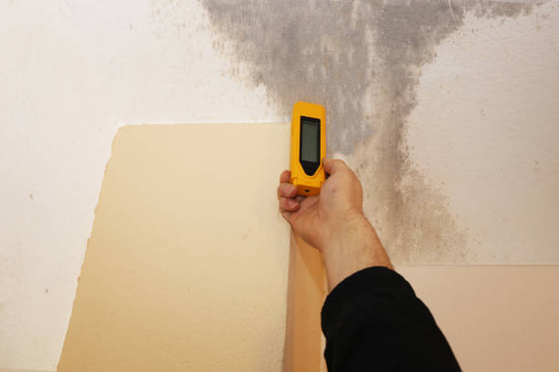 Best Crawl Space Mold Remediation  in Monrovia, IN