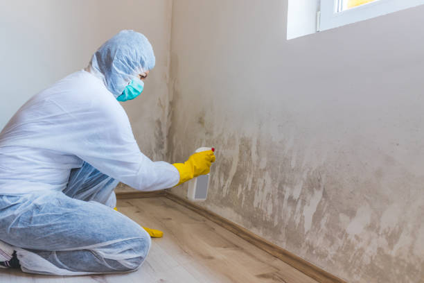 Mold Removal for HVAC Installations in Monrovia, IN