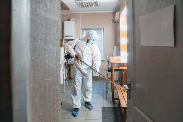 Best Real Estate Mold Inspection  in Monrovia, IN