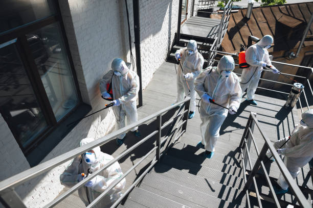 Trusted Monrovia, IN Mold Removal Experts