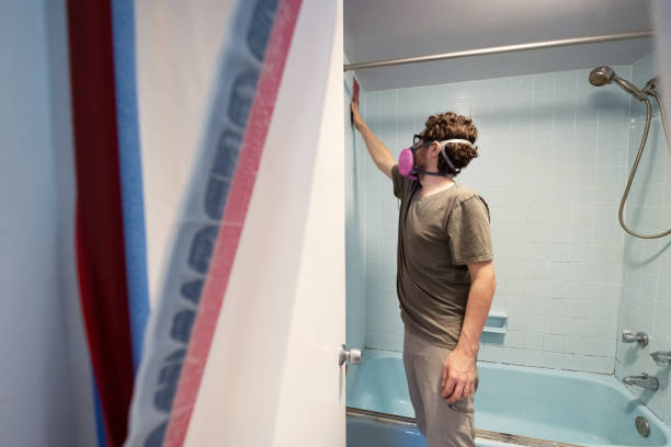 Best Dehumidification Services  in Monrovia, IN