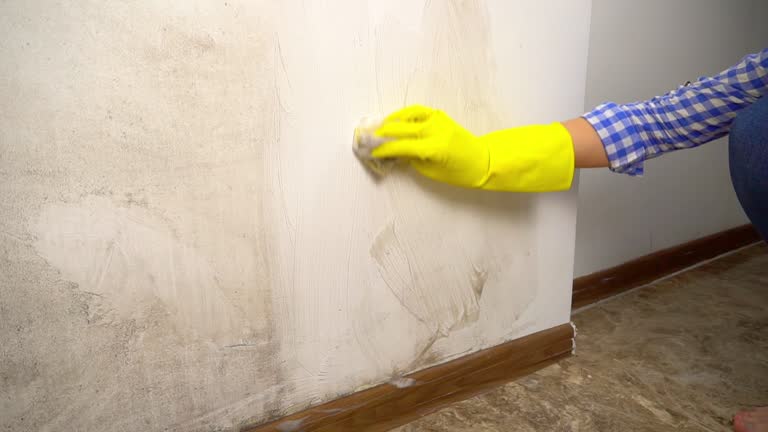 Best Real Estate Mold Inspection  in Monrovia, IN