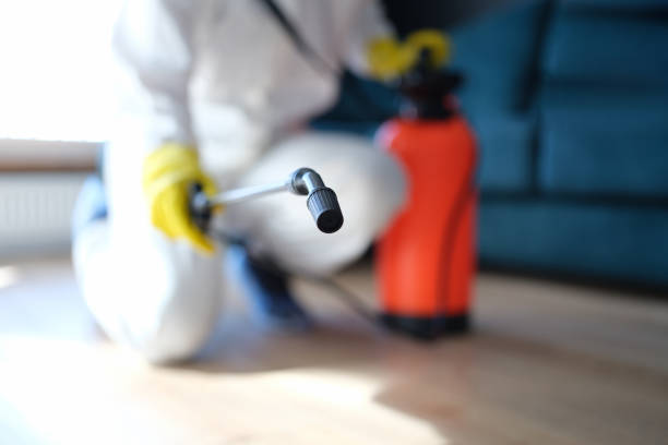 Best Asbestos and Lead Testing During Mold Inspection  in Monrovia, IN