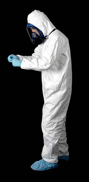 Best Attic Mold Removal  in Monrovia, IN