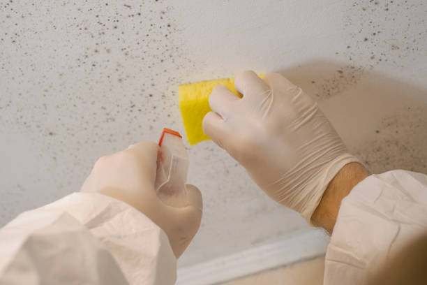 Best Residential Mold Inspection & Testing  in Monrovia, IN