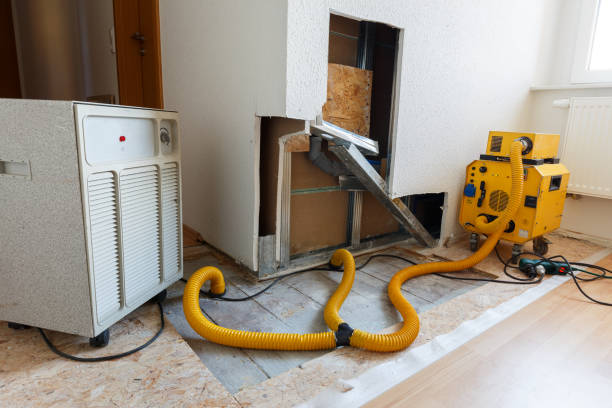 Best Mold Removal for HVAC Installations  in Monrovia, IN
