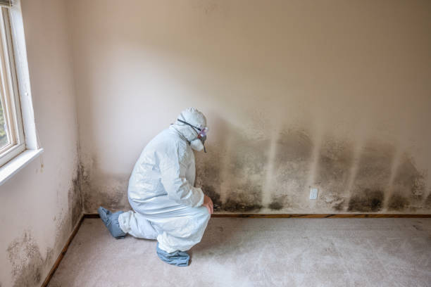 Best Biohazard Mold Removal  in Monrovia, IN