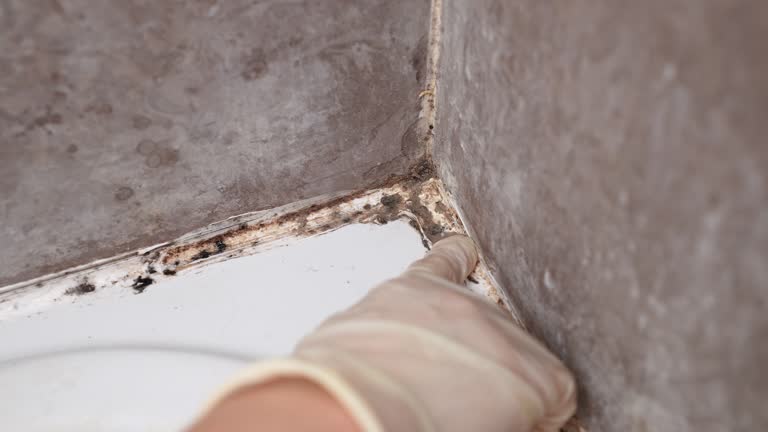 Best HVAC Mold Inspection and Cleaning  in Monrovia, IN